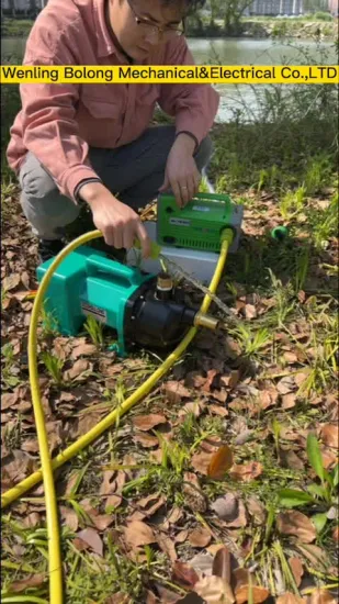 Bomba de agua de batería de litio Bomba de chorro de piscina inalámbrica